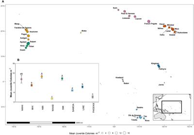 Ecological and environmental predictors of juvenile coral density across the central and western Pacific